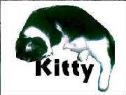 kitty.jpg
