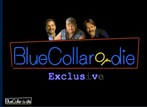 bluecollarordie.gif