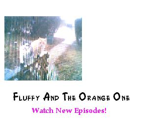 fluffyandorangeone.jpg