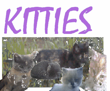kitties_logo.gif