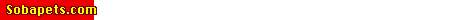 sobapetscom_banner.gif