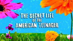 the_secret_life_of_the_american_teenager_logo.gif
